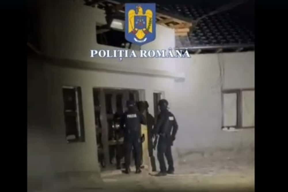 Doi ialomițeni au furat o vacă din Drăgănești-Prahova și s-au trezit cu polițiștii prahoveni la ușă