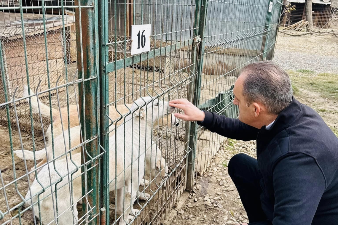 Doi iubitori de animale - președintele CJ, Virgiliu Nanu, și primarul Ploieștiului, Mihai Polițeanu – promit condiții decente pentru câinii de la adăpostul Bucov