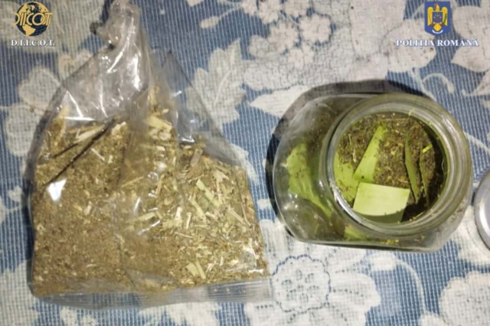 Zeci de percheziții la traficanți care vindeau droguri în școli. Printre ei se află și minori!