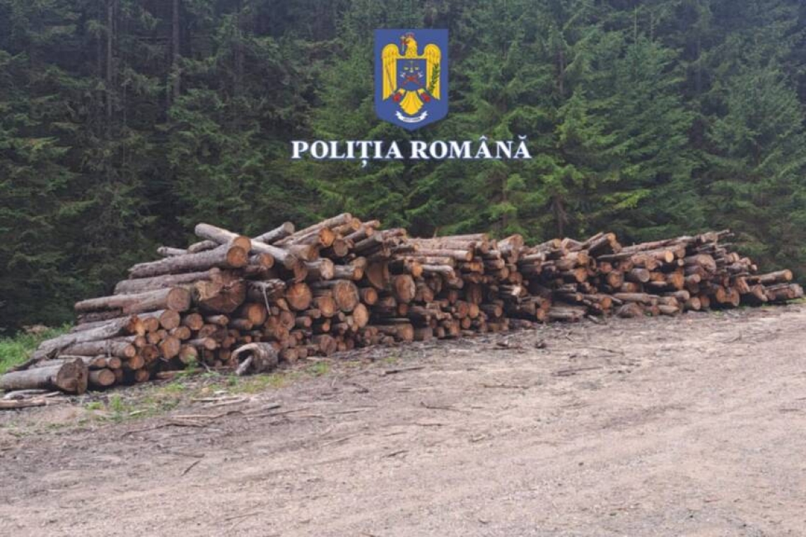 În luna noiembrie, ”Scutul Pădurii” s-a lăsat cu 17 dosare penale în Prahova