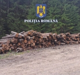 În luna noiembrie, ”Scutul Pădurii” s-a lăsat cu 17 dosare penale în Prahova