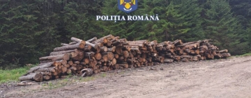 În luna noiembrie, ”Scutul Pădurii” s-a lăsat cu 17 dosare penale în Prahova