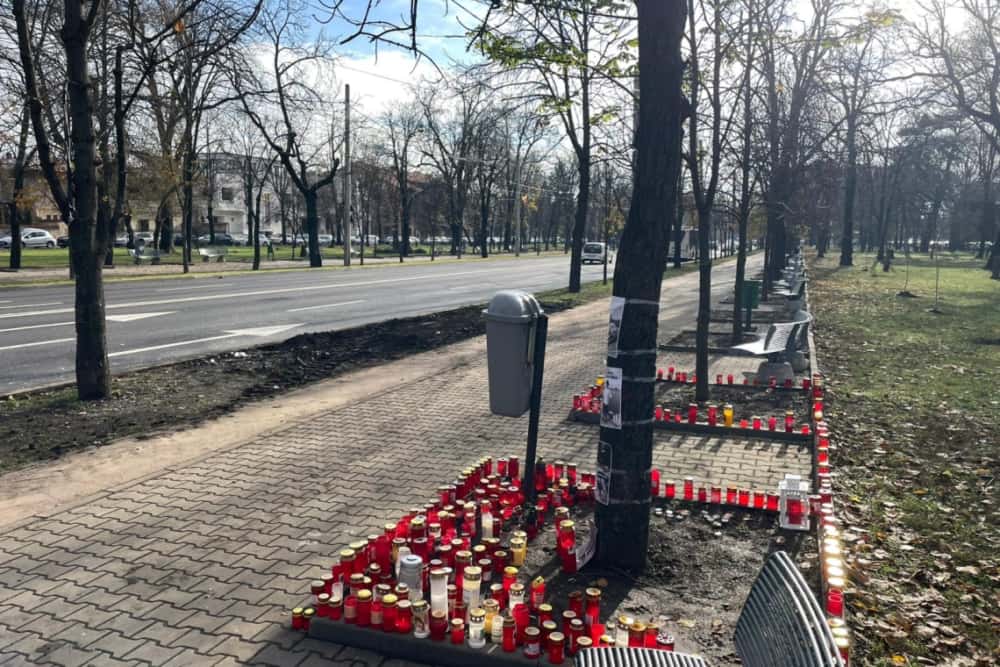 Semnal de alarmă după tragedia de marți seară/ Consilierii locali social-democrați solicită măsuri urgente pentru creșterea siguranței în traficul din Ploiești