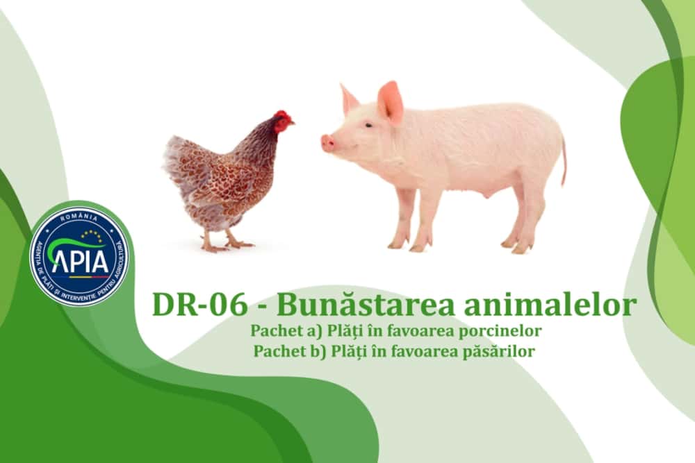 APIA Prahova primește cererile de plată pentru bunăstarea animalelor