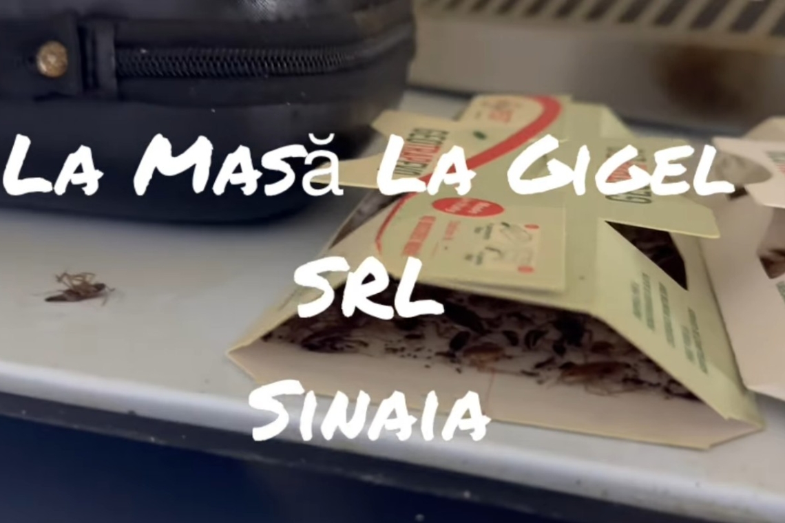 ”Gândăcărie” în bucătărie! Imagini de coșmar dintr-o unitate de alimentație publică din Sinaia, prezentate de Paul Anghel, director general ANPC
