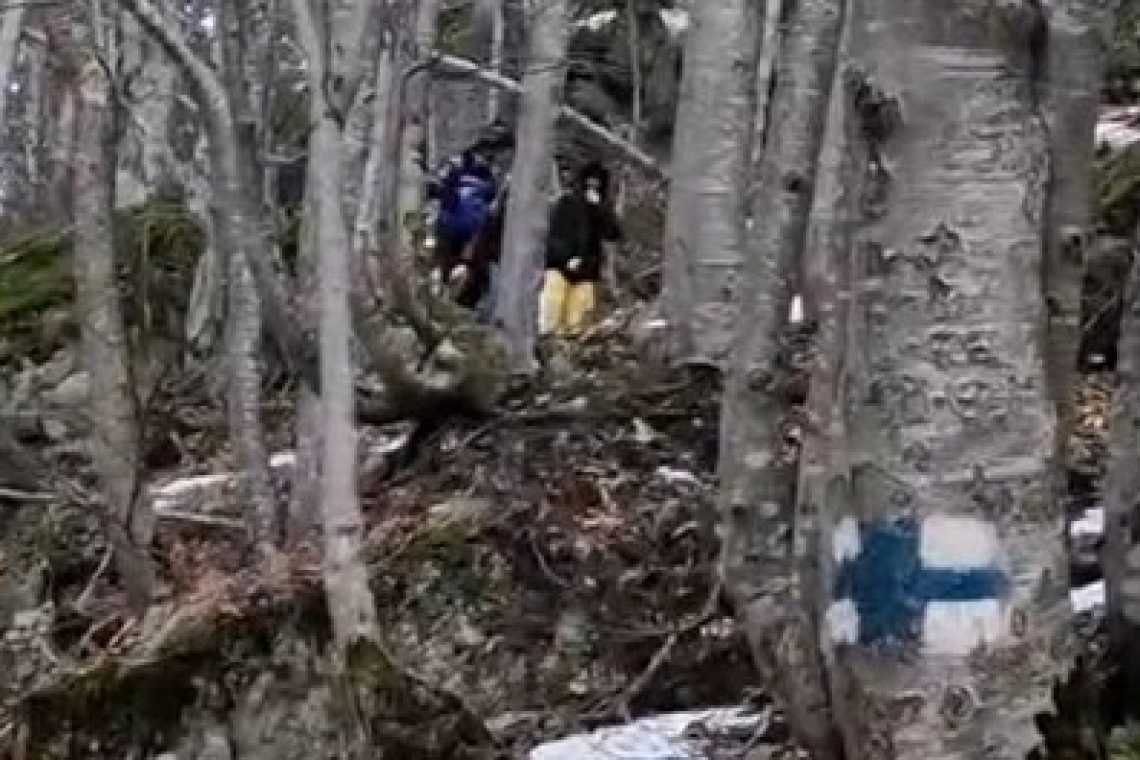 Patru turiști străini încălțați cu adidași au cerut ajutorul jandarmilor pentru a-i coborî de pe Jepii Mici. Traseul este închis iarna!