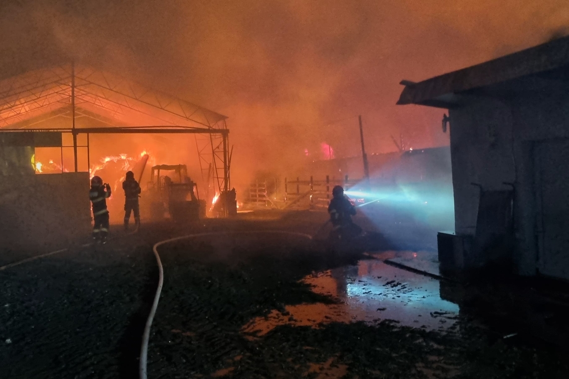 UPDATE/ Sute de capre și zeci de păsări au pierit într-un incendiu produs la o stână din Balta Doamnei, noaptea trecută