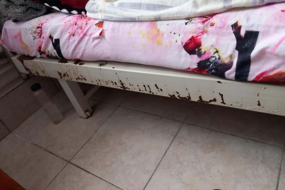 Control al comisarilor de la Protecția Consumatorilor la centre de bătrâni. Ce nereguli s-au găsit în Prahova