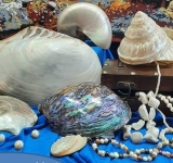 Expoziție cu acces gratuit ″Comorile sirenelor – Sideful și Perlele″, la Muzeul Județean de Științele Naturii Prahova