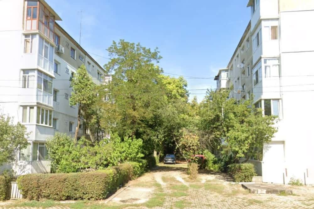 Primarul Polițeanu propune eliminarea gardurilor vii dintre blocurile din Ploiești!