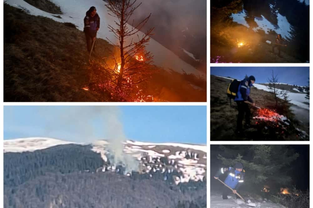Jandarmii au reușit să stingă un incendiu izbucnit în munții Baiului