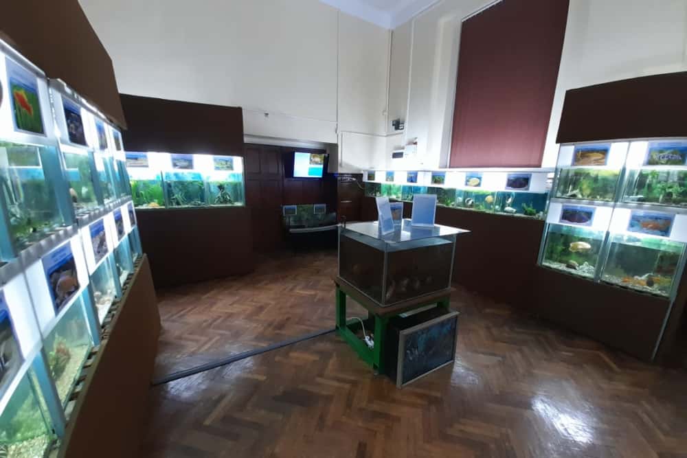 Secția Acvariu a Muzeului Județean de Științele Naturii are un nou spațiu, în Palatul Culturii din Ploiești