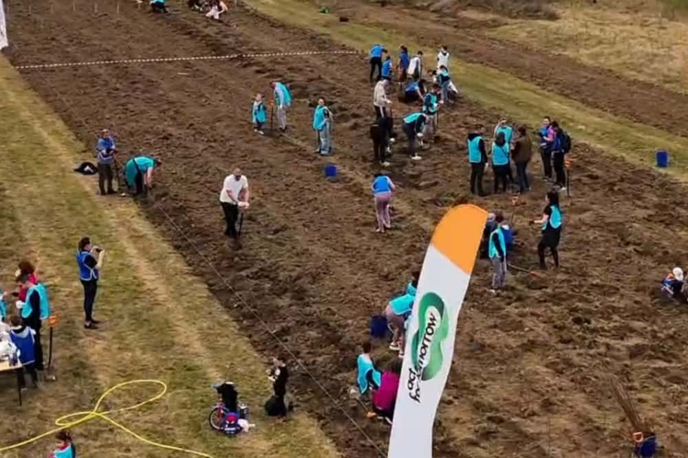 Sute de voluntari au plantat 15.000 de puieți în Grădina Botanică Bucov