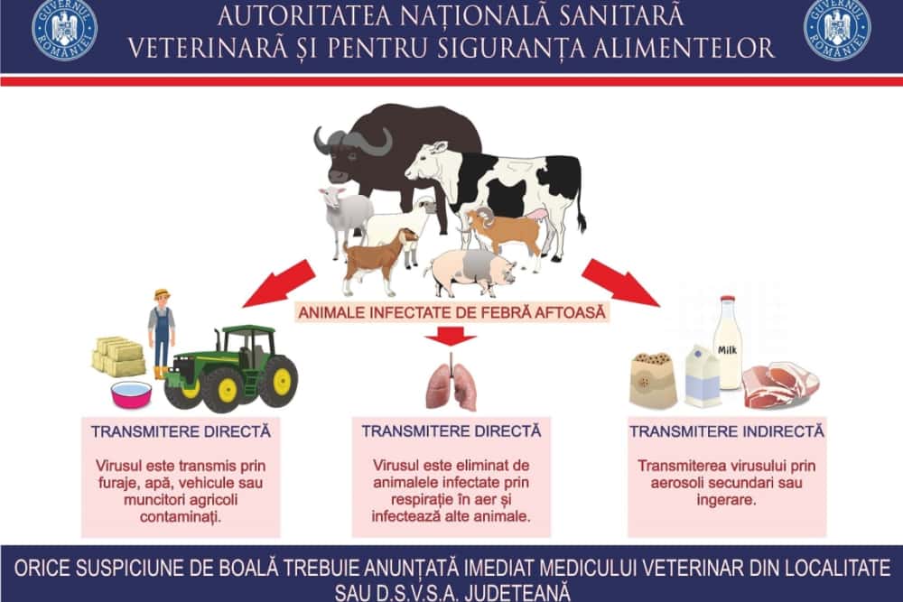 Febra aftoasă care amenință România pune în gardă și autoritățile din Prahova