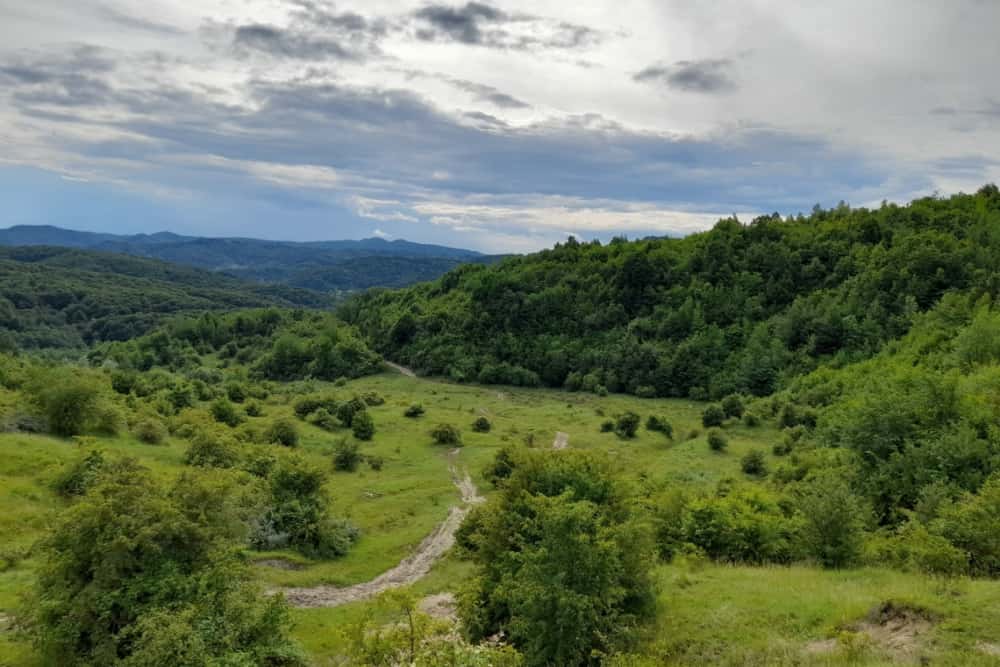 S-a semnat contractul pentru construirea campusului universitar din Provița de Sus, destinat studenților la Teatru și Cinematografie