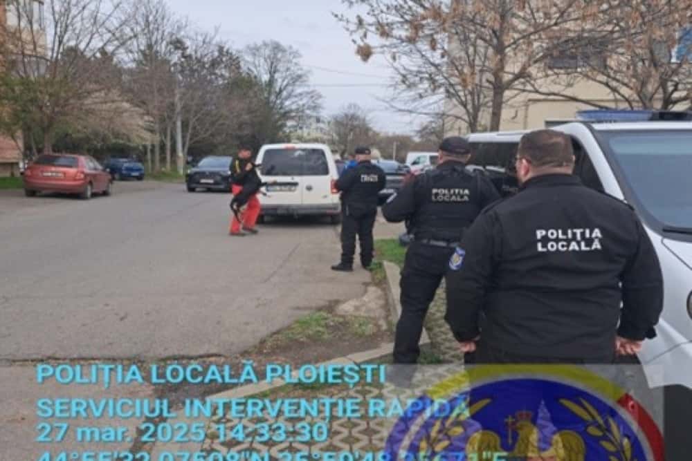 Câini periculoși - capturați în zona Gării de Vest, după reclamațiile primite de la ploieșteni