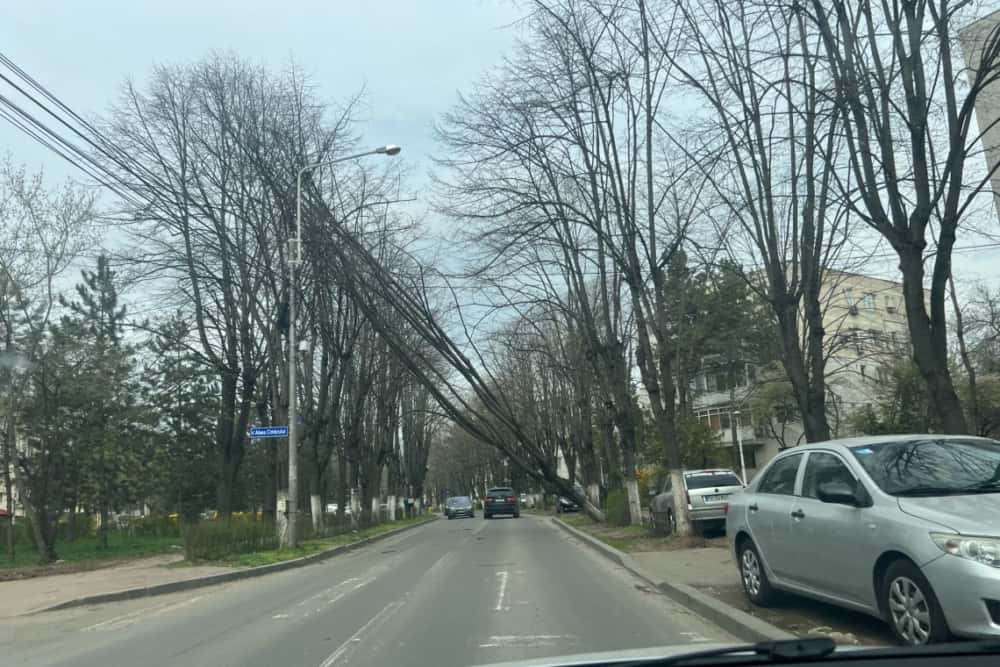 Vântul puternic a dezrădăcinat arbori în mai multe localități din Prahova. Un copac a căzut peste un autoturism din trafic