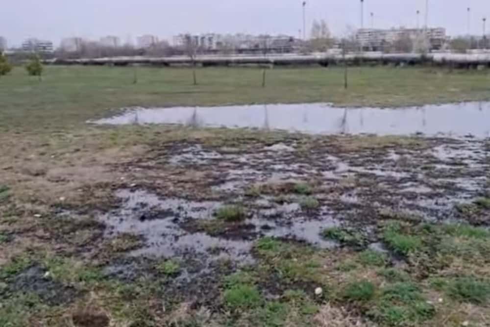 Avarie la o conductă Conpet din Parcul Municipal Ploiești Vest. Țițeiul a ieșit la suprafață și a infestat terenul