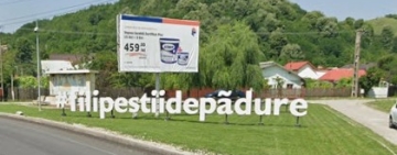 ANUNȚ PRIVIND ORGANIZAREA LICITAȚIEI PUBLICE PENTRU ÎNCHIRIEREA IMOBILE-TERENURI APARȚINÂND DOMENIULUI PRIVAT AL COMUNEI FILIPEȘTII DE PĂDURE, JUDEȚUL PRAHOVA