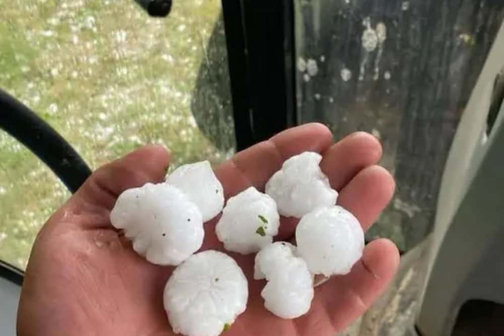 Grindina uriașă a făcut prăpăd în solariile din sudul Prahovei