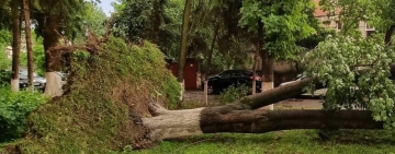 O vijelie puternică a făcut ravagii, duminică seară, în Târgu Mureș