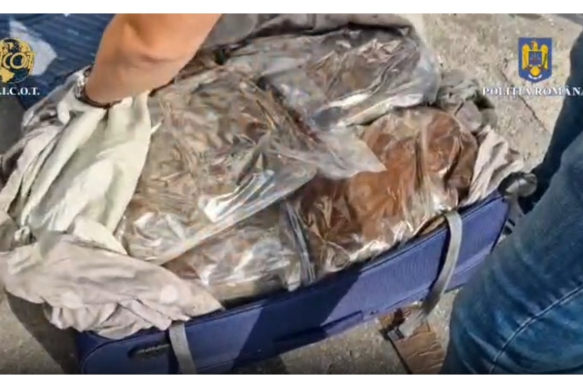 Troler plin cu cannabis, descoperit în mașina unei firme de curierat, într-o parcare din Bușteni