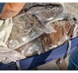 Troler plin cu cannabis, descoperit în mașina unei firme de curierat, într-o parcare din Bușteni