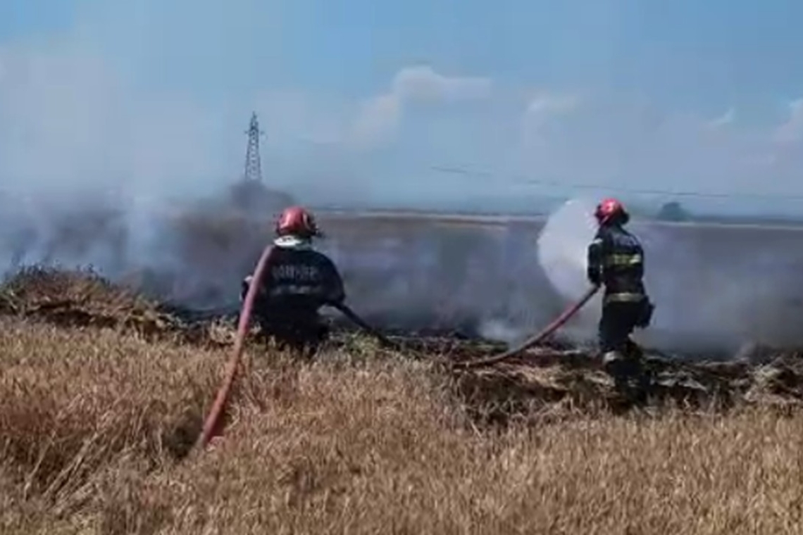 UPDATE/ Lanul de grâu de lângă Centura de Vest ar fi luat foc de la autoturismul cuprins de flăcări!