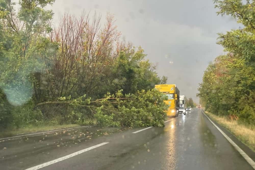DN 72 este blocat parțial, în zona Ariceștii Rahtivani, din cauza unui arbore căzut pe carosabil