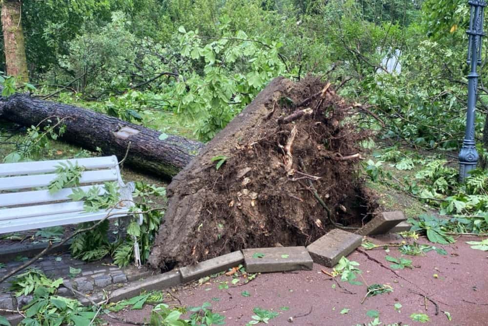 Parcul central din Sinaia rămâne închis până la rezolvarea problemelor generate de furtuna de miercuri