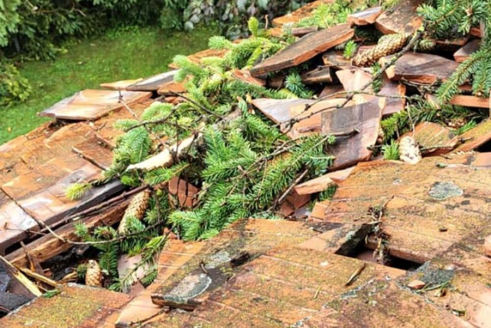 Și Ministerul Culturii evaluează pagubele produse de vijelie pe domeniul Peleș