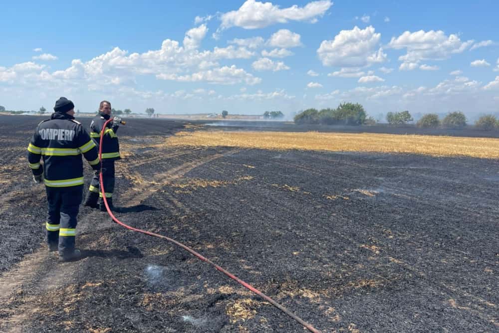 Incendiu pe 30 de hectare de teren, în comuna Colceag