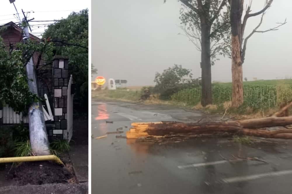 Avarii la rețelele electrice, stâlp căzut peste o casă și arbori rupți de vijelie, în Prahova