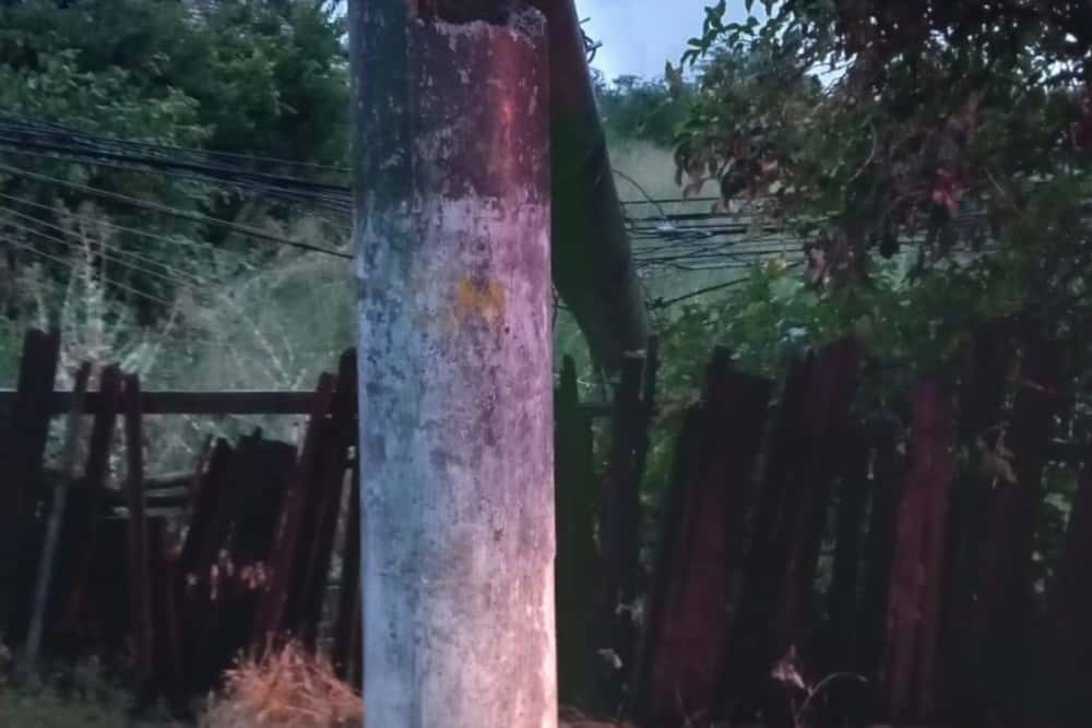 Peste 30.000 de consumatori au rămas fără curent, în Prahova, din cauza vijeliei