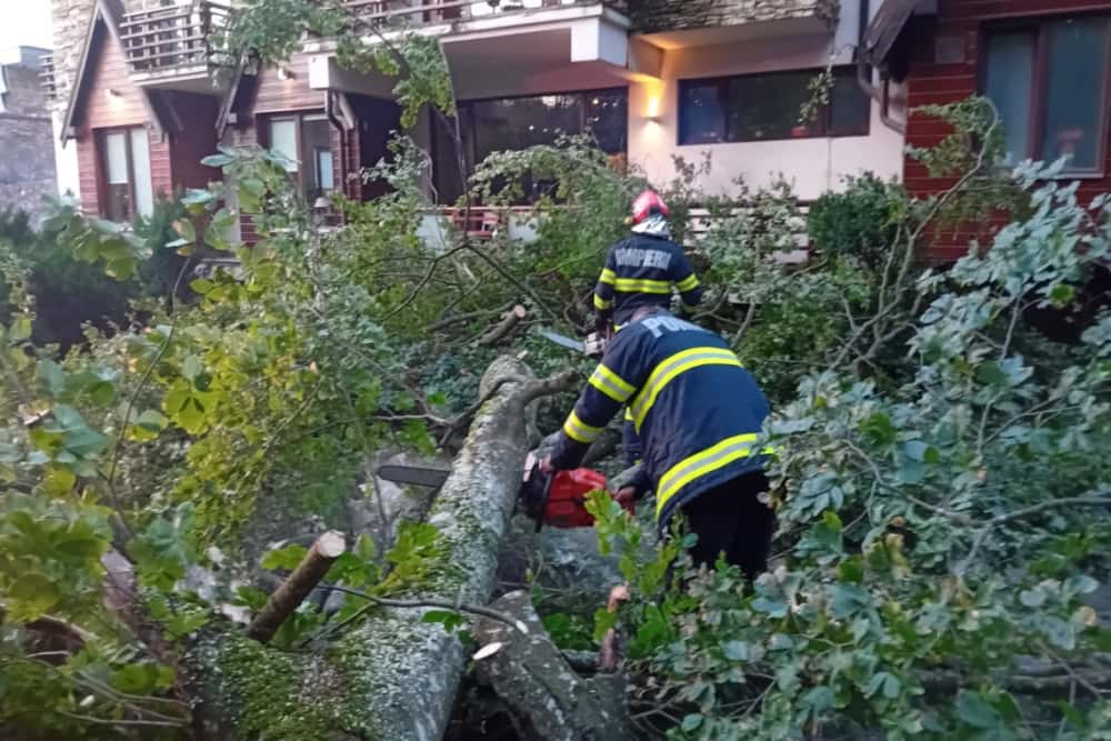 Drumul Cotei din Sinaia, blocat din nou de copacii rupți de vânt