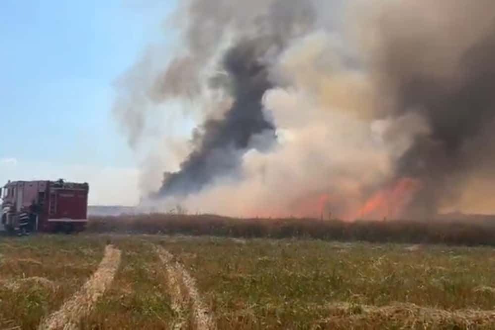 80 de hectare de grâu și rapiță au fost mistuite de flăcări pe raza comunei Colceag