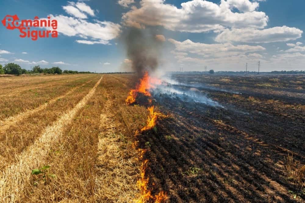 În weekend, pompierii prahoveni au acționat la 15 incendii de vegetație uscată și în gospodăriile populației