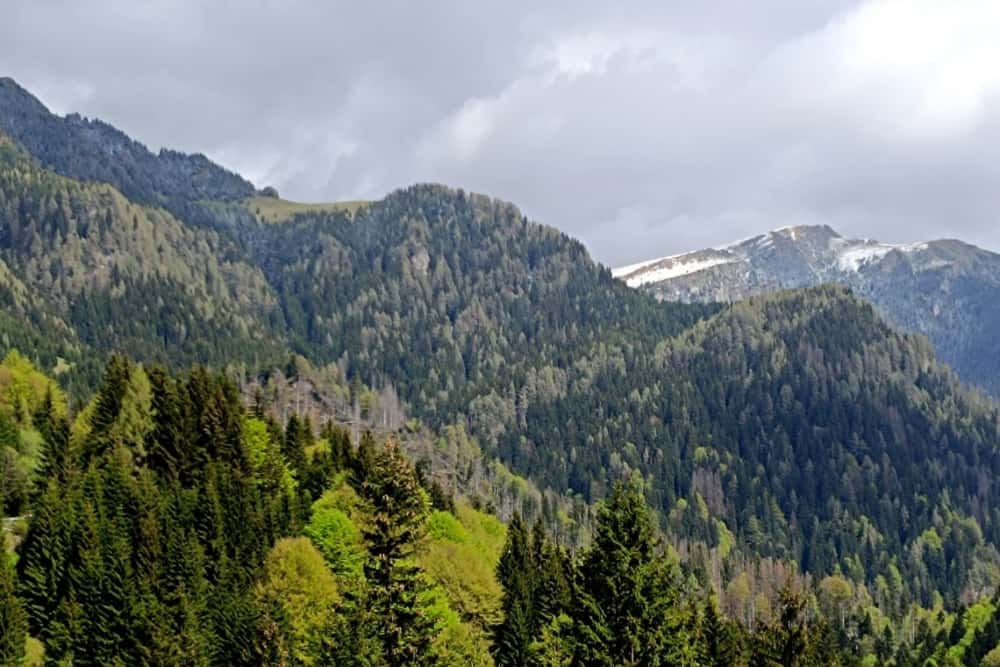 Salvamontiștii din Sinaia atrag atenția asupra riscului producerii incendiilor pe munte, în aceste zile caniculare