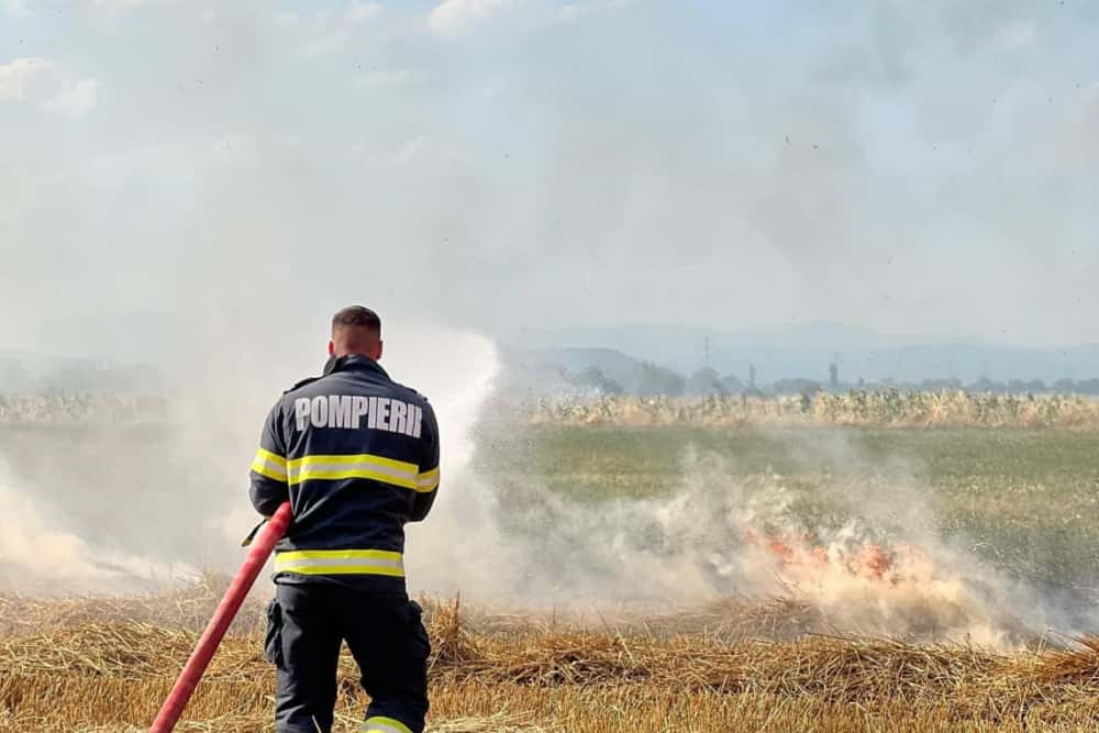 Incendiu de miriște, pe 10 hectare, și în Filipeștii de Târg