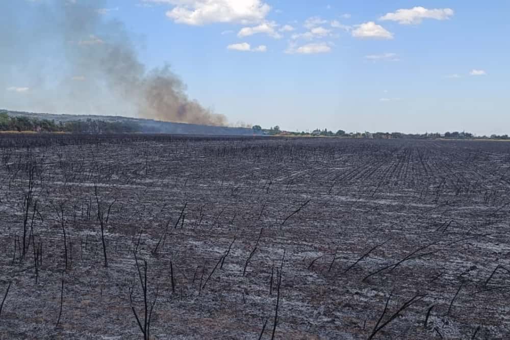 Update/ Vântul îngreunează stingerea incendiului de la Chițorani! 70 de pompieri se luptă cu flăcările