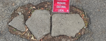 Elevii ploieșteni au lansat campania „Ploiești – oraș cu denivelări în suflet și asfalt”! Voi aveți gropi pe străzile din cartier?