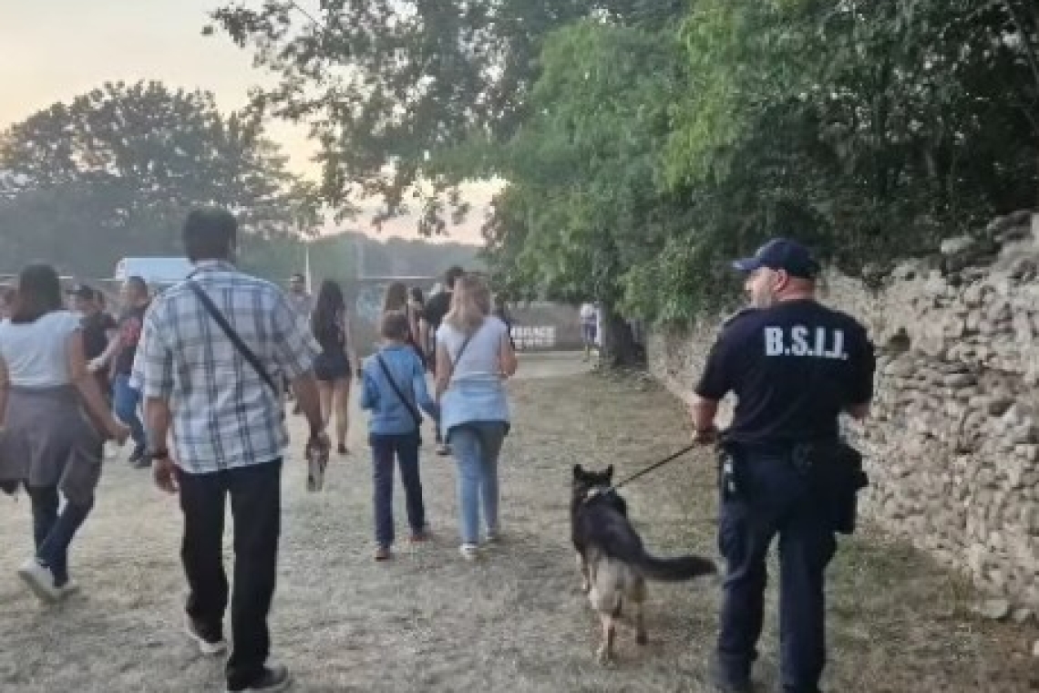 Cățelul Vof, ajutorul blănos al jandarmilor la festivalul din Florești