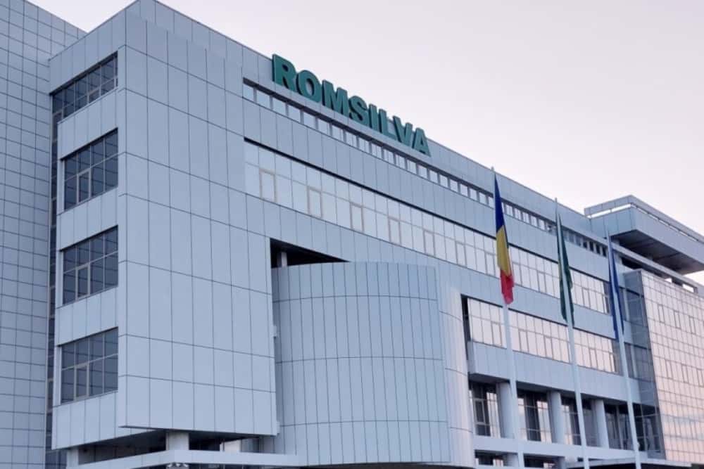 Șeful Direcției Silvice Prahova și cel al Ocolului Silvic Doftana, eligibili pentru ocuparea funcției de director general provizoriu al Romsilva