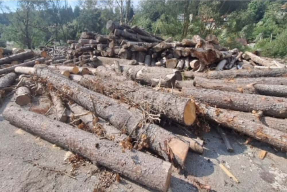 Lemn fără documente, descoperit într-un depozit al unei firme din Sinaia
