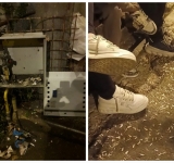 Mâncători de semințe, bețivi și indivizi care urinau pe domeniul public - sancționați de polițiștii locali ploieșteni