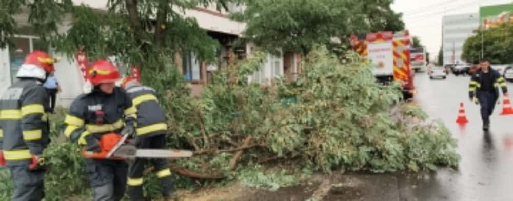 Vântul a doborât mai mulți copaci în Ploiești, Câmpina, Urlați și Râfov. Pompierii au intervenit pentru degajarea arborilor căzuți
