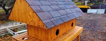 Detalii despre căsuțele pentru pisicile fără stăpân din Ploiești. De unde puteți descărca o cerere de amplasare a unui adăpost