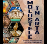 Expoziția „Moluștele în Artă” se deschide mâine, 17 noiembrie, la Muzeul Județean de Științele Naturii Prahova. Intrarea este gratuită!