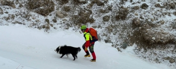 Sergiu și Carp, echipajul canin al Salvamont Prahova, într-o misiune în premieră pentru salvamontiștii din România