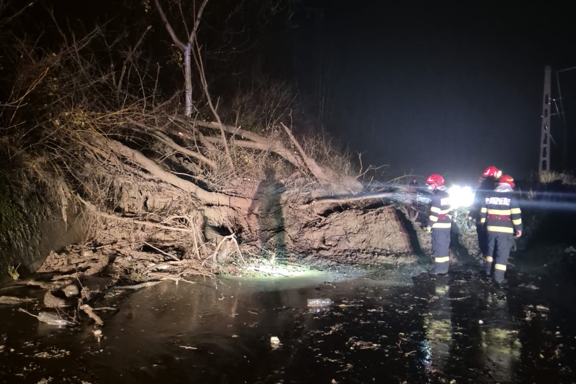 Intervenții în lanț ale pompierilor prahoveni: inundații, copaci doborâți și alunecări de teren